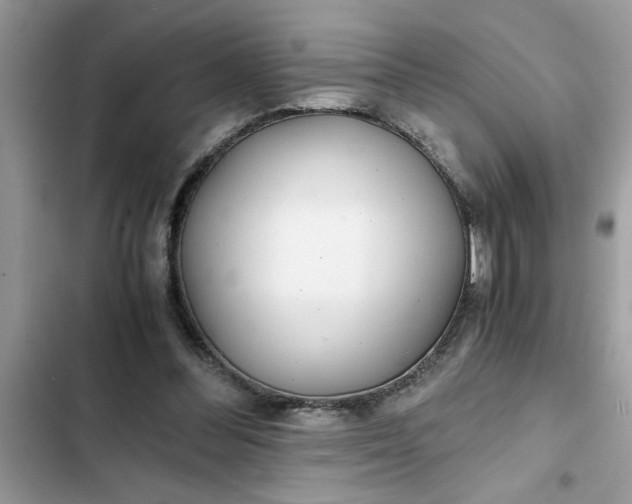 X0000102340300200808151734