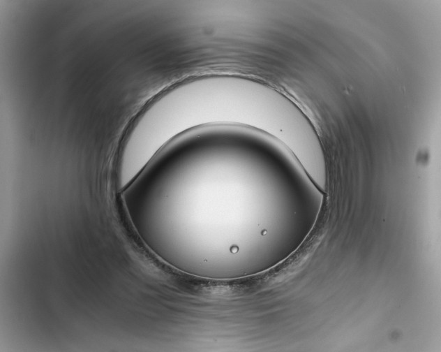 X0000102340301200808151734