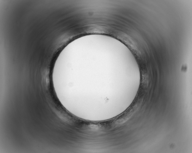 X0000102340302200808151734