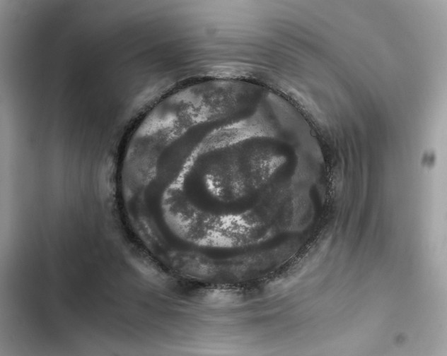 X0000102340303200808151734