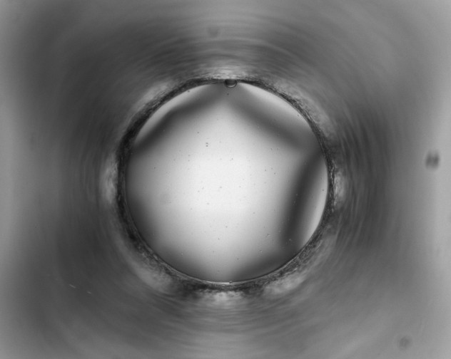 X0000102340304200808151734