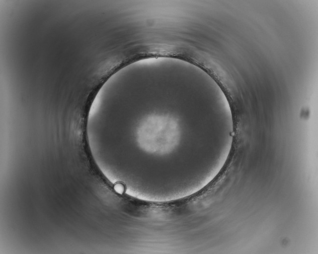 X0000102340305200808151734