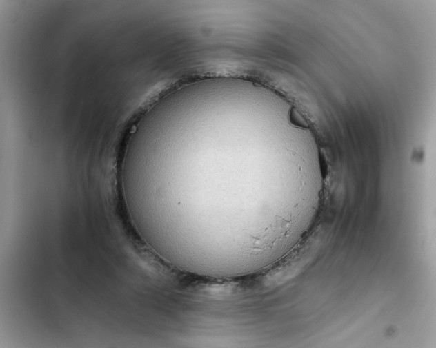 X0000102340306200808151734