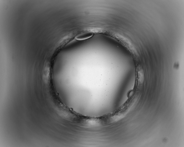 X0000102340308200808151734