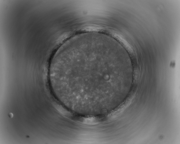 X0000102340309200808151734