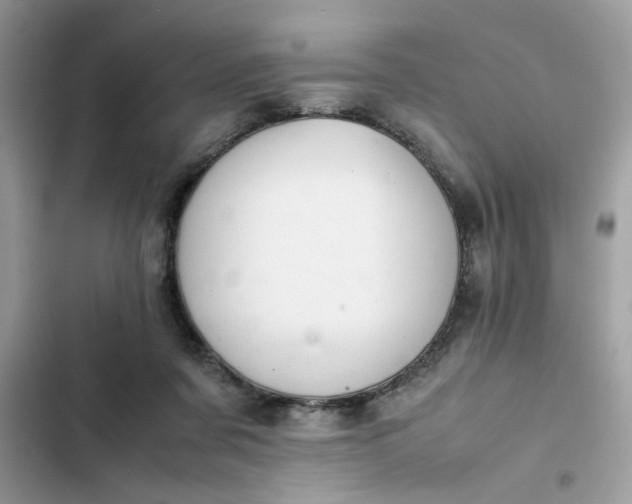 X0000102340311200808151734