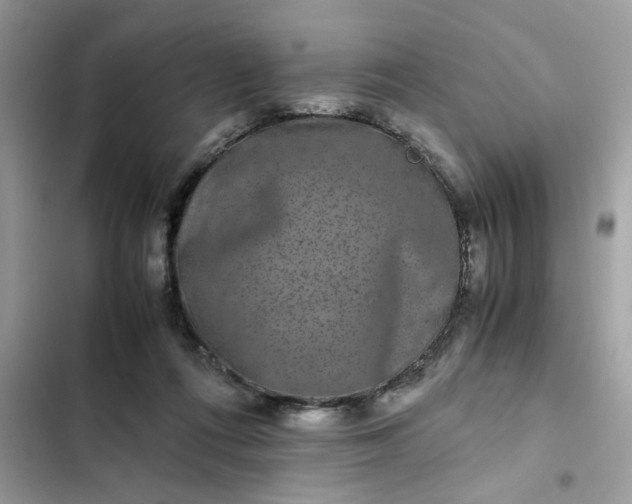 X0000102340312200808151734