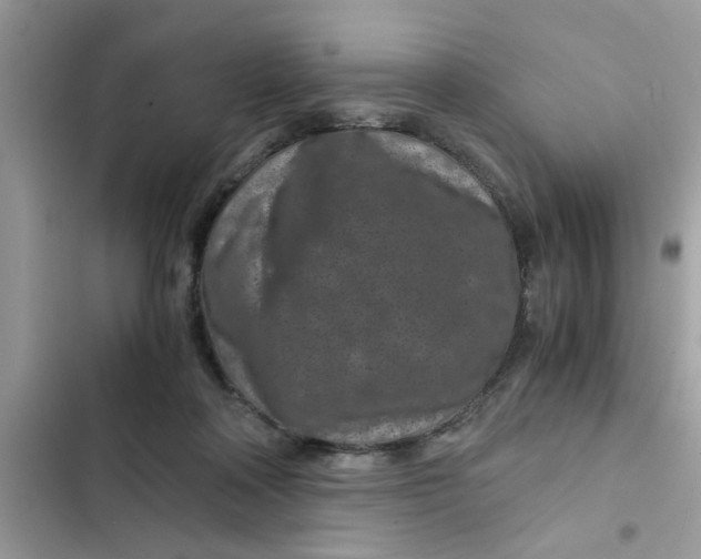 X0000102340314200808151734