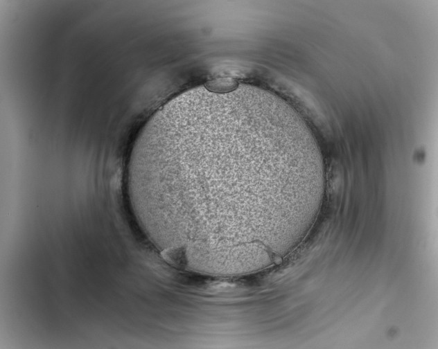 X0000102340315200808151734