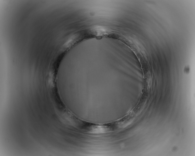 X0000102340316200808151734