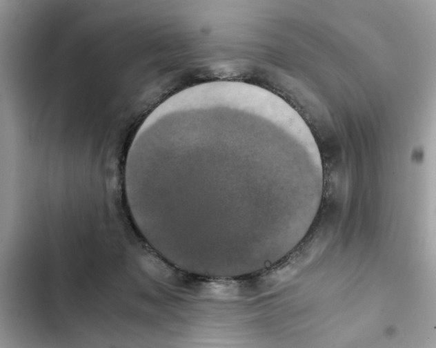 X0000102340317200808151734