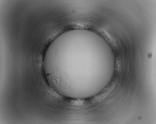 X0000102340318200808151734