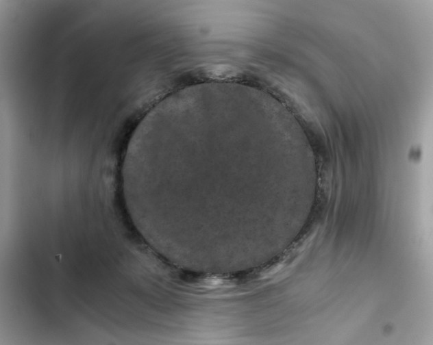 X0000102340319200808151734