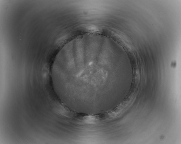 X0000102340320200808151734