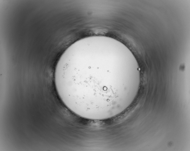 X0000102340321200808151734