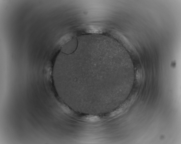 X0000102340322200808151734