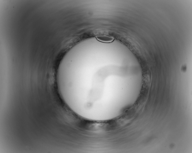 X0000102340323200808151734