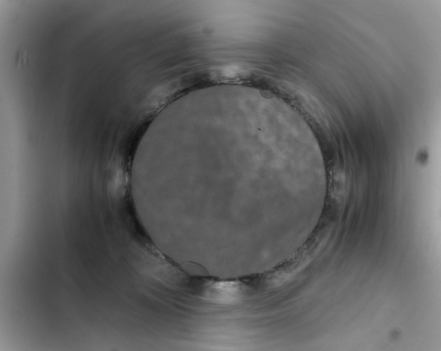 X0000102340324200808151734