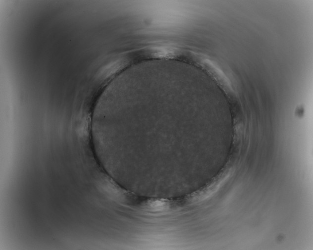 X0000102340325200808151734