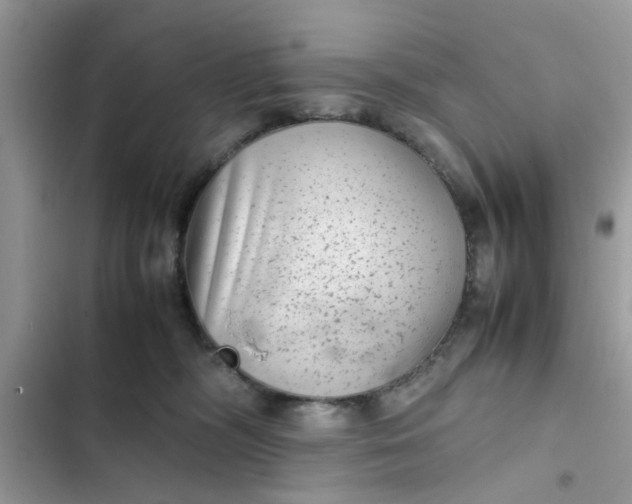 X0000102340326200808151734