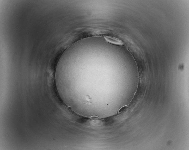 X0000102340327200808151734