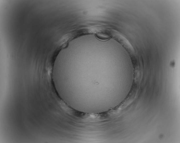 X0000102340329200808151734