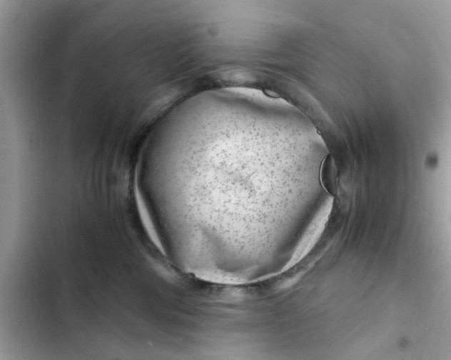 X0000102340330200808151734