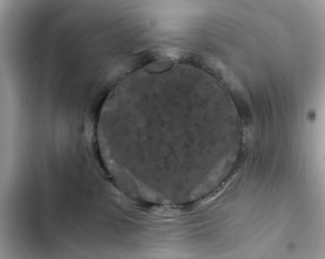 X0000102340331200808151734