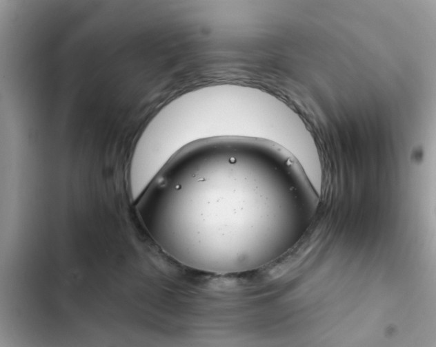 X0000102340332200808151734