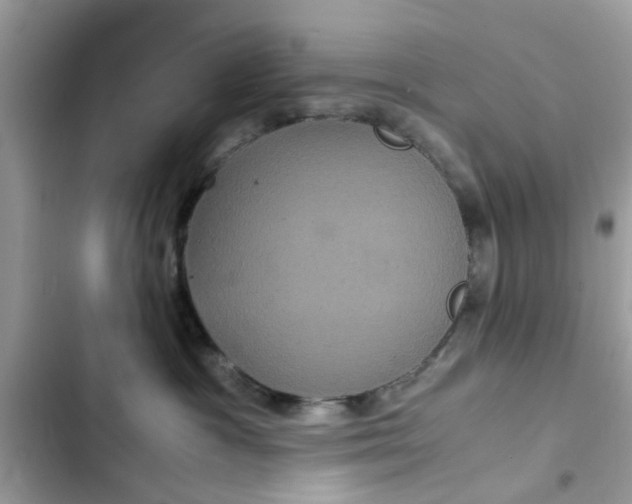 X0000102340333200808151734