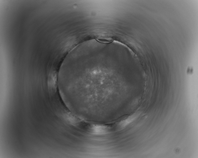 X0000102340336200808151734