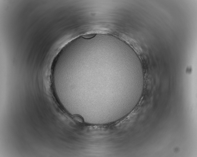 X0000102340338200808151733