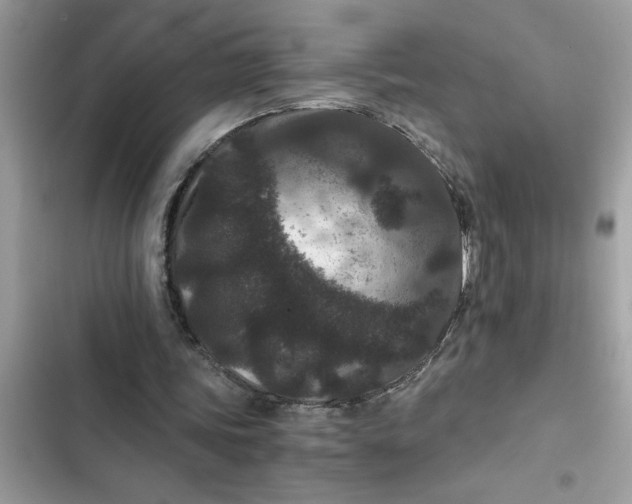 X0000102340339200808151733