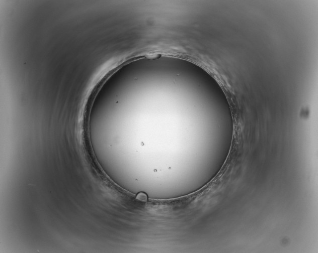 X0000102340340200808151733