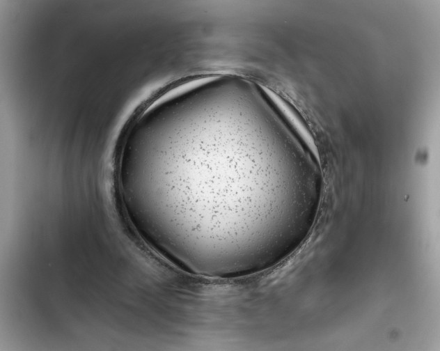 X0000102340342200808151733