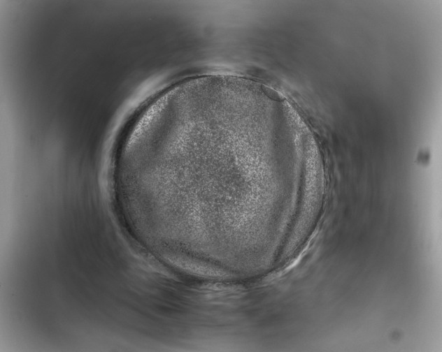 X0000102340343200808151733