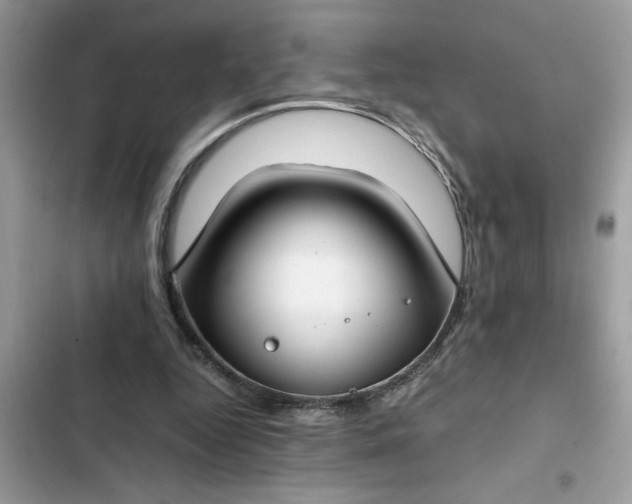 X0000102340344200808151733