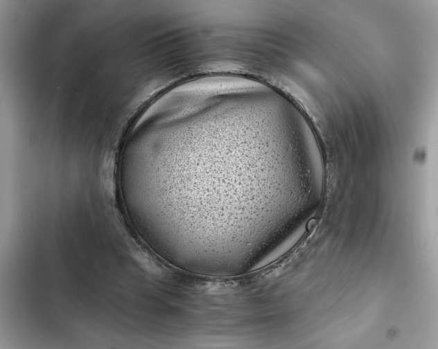 X0000102340345200808151733