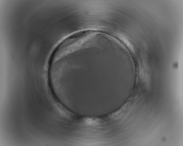 X0000102340346200808151733