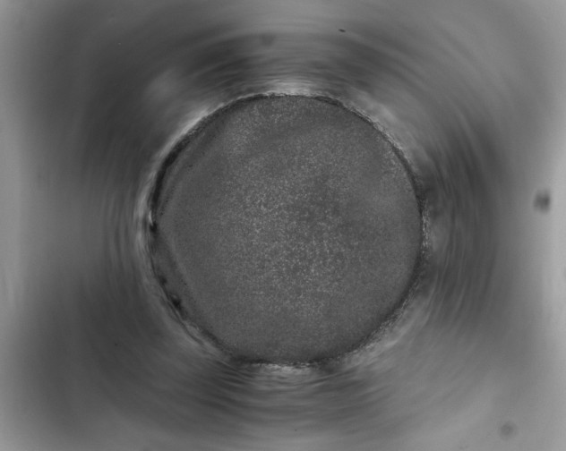 X0000102340347200808151733