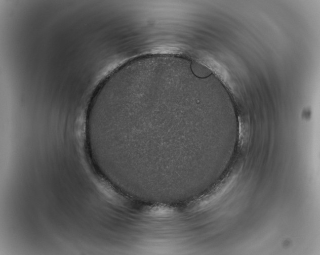 X0000102340348200808151733