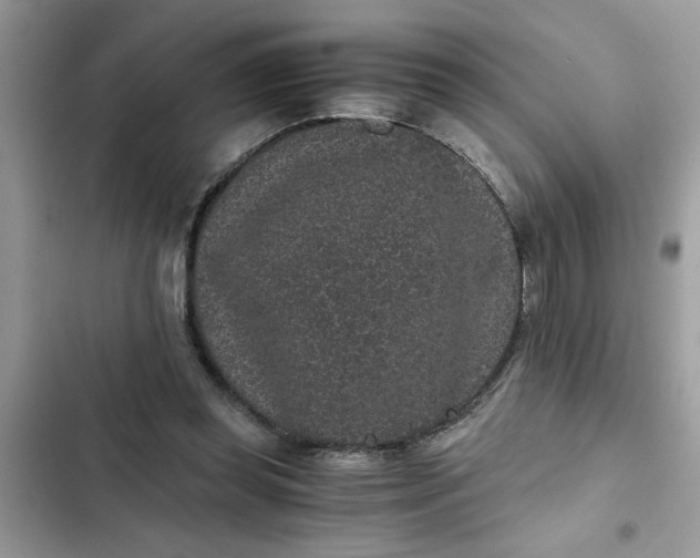 X0000102340349200808151733