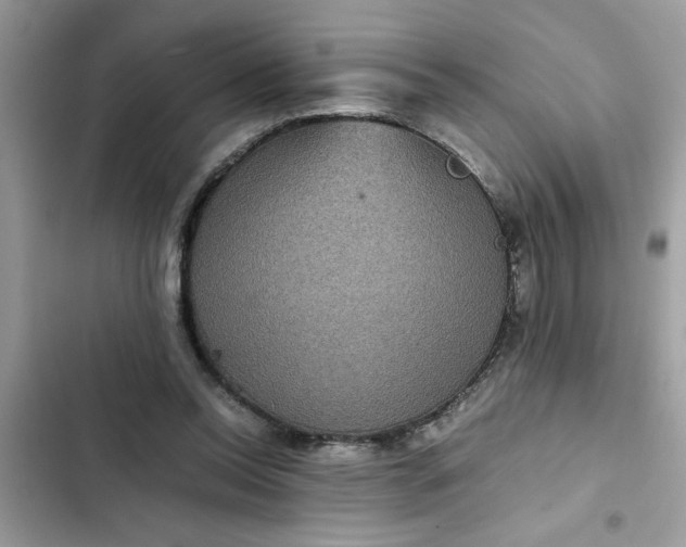 X0000102340350200808151733