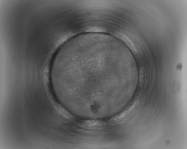 X0000102340351200808151733