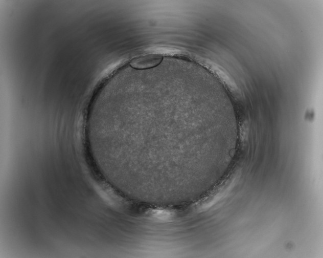 X0000102340352200808151733