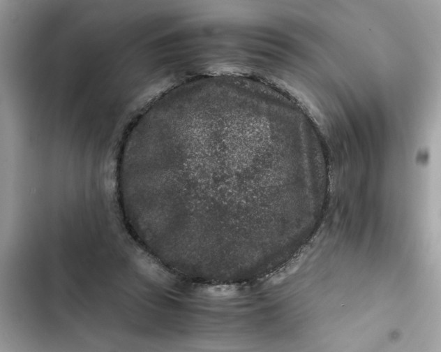 X0000102340353200808151733