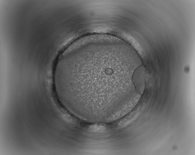 X0000102340354200808151733