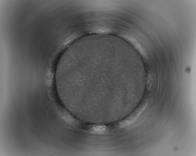 X0000102340355200808151733