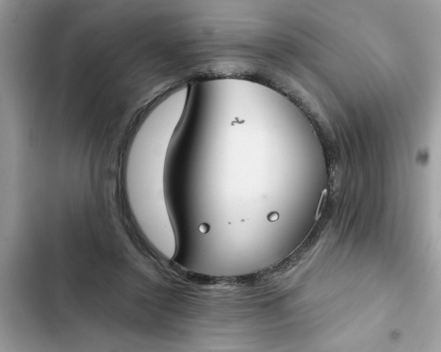 X0000102340356200808151733