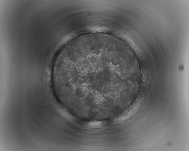 X0000102340357200808151733